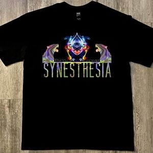 "Synesthesia" multicolored double lioness graphic tee, black, cotton, Unisex LRG
